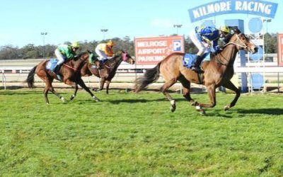 El Cazador Wins on Home Track