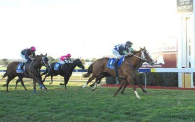 Homelander – Winner at Wodonga