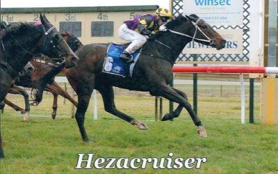 HEZACRUISER – Winner at Wangaratta