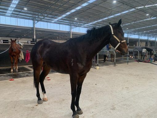 Un-named (Fiorente - Namoi)