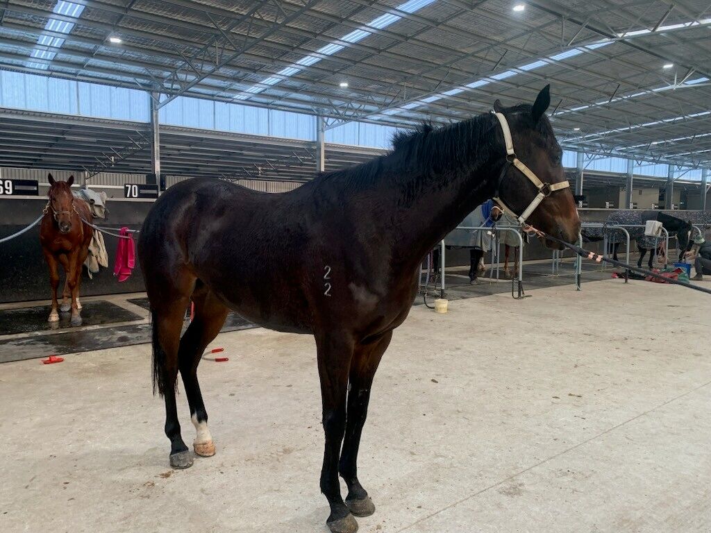 Un-named (Fiorente – Namoi)
