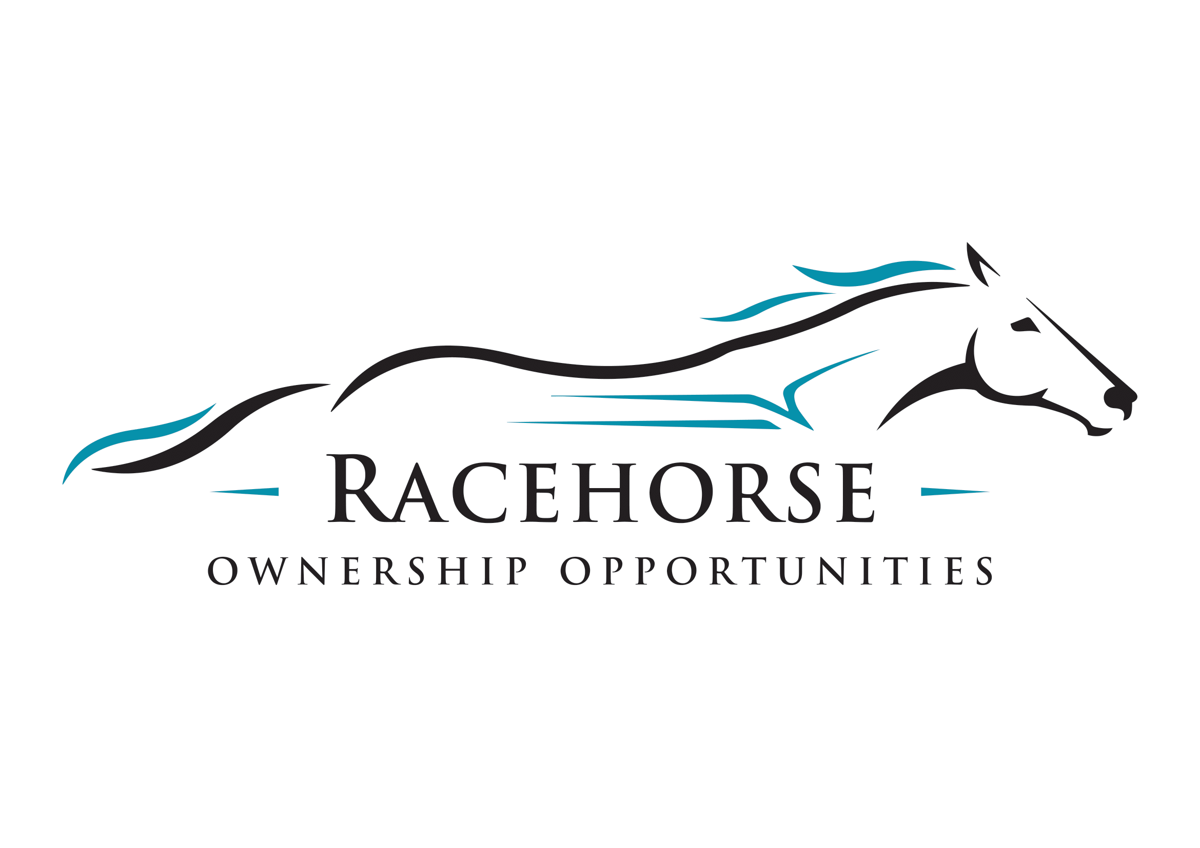 Shares For Sale Thoroughbred Racehorse Ownership Opportunities