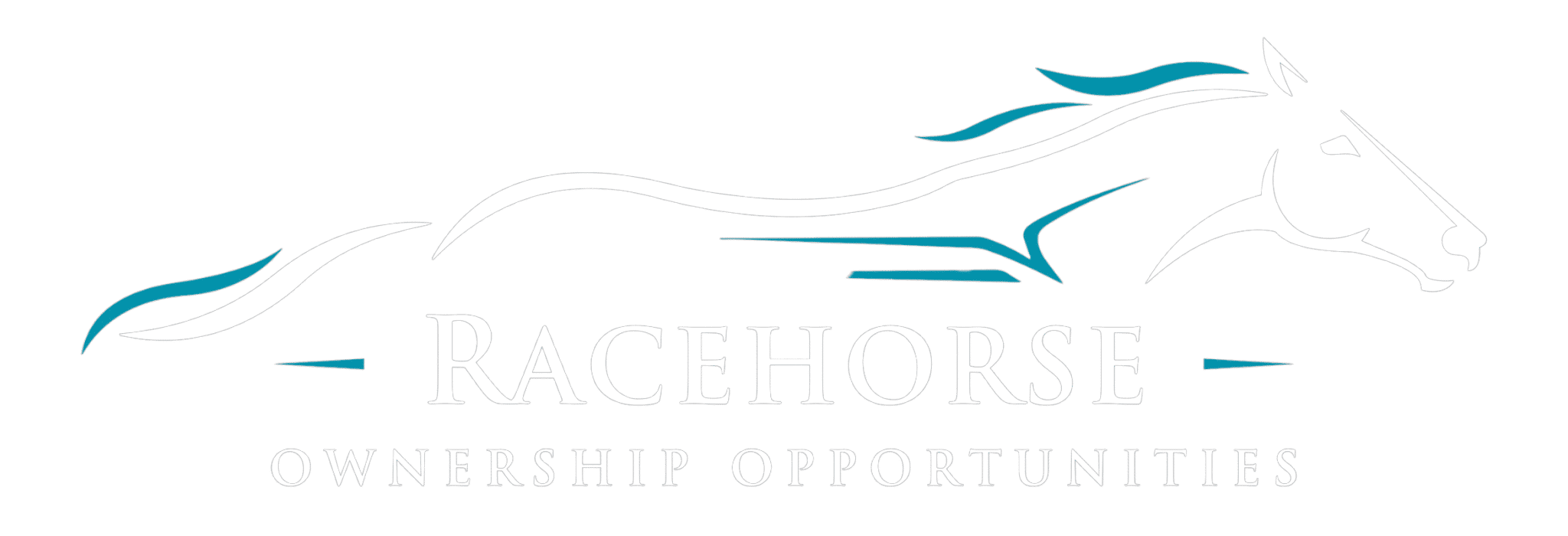 T/As Racehorse Ownership Opportunities