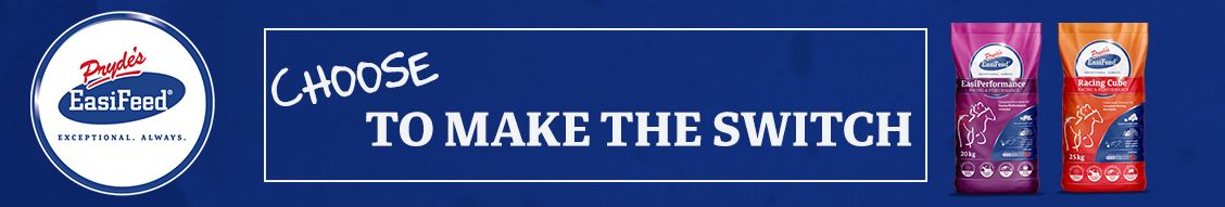 View Sales List Racehorse Ownership Opportunities