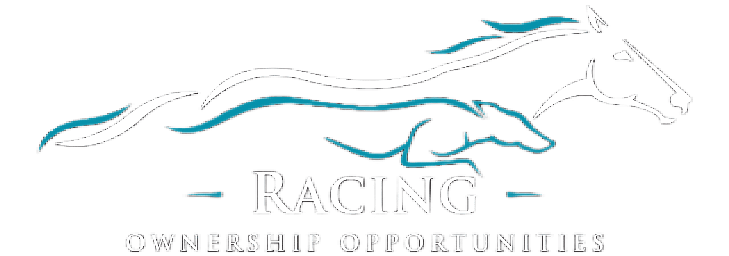 T/As Racehorse Ownership Opportunities