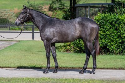 Un-named (Frosted - Maddie De Belle)