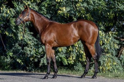 Un-named (North Pacific - Miss Connie)