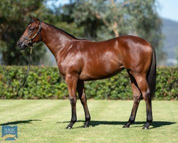 Un-named (Pierata - Absolute Rock)