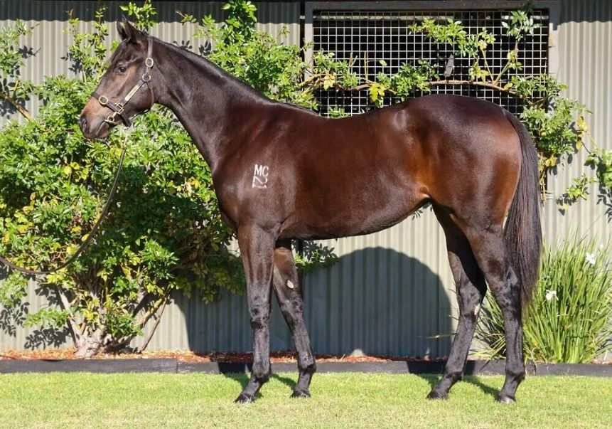 Un-named (I Am Invincible – Samara Dancer)