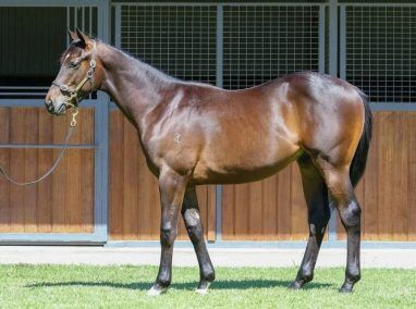 Un-named (Exceed And Excel - Solar Moon)