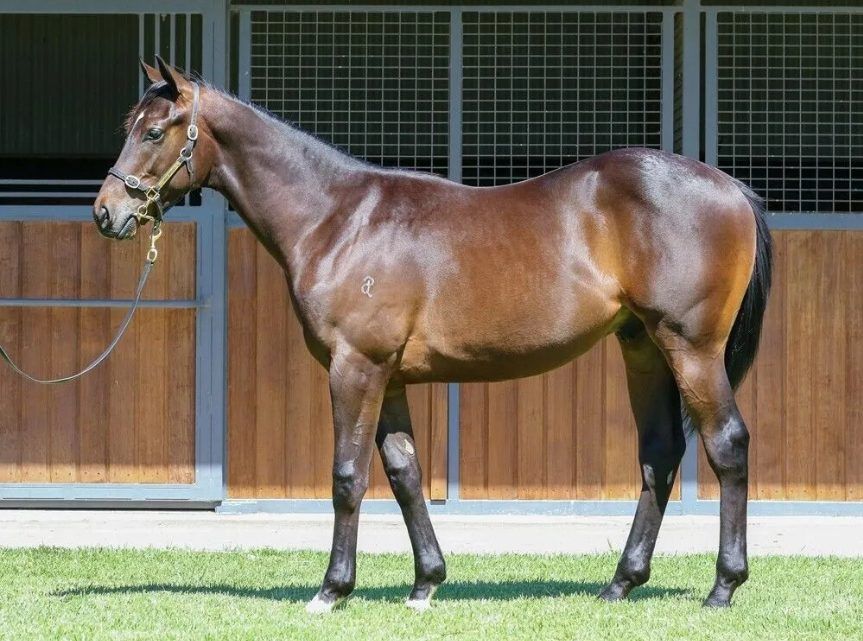 Un-named (Exceed And Excel – Solar Moon)