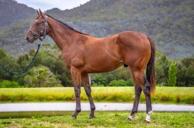 Un-named (Spirit Of Boom - Parriwi)