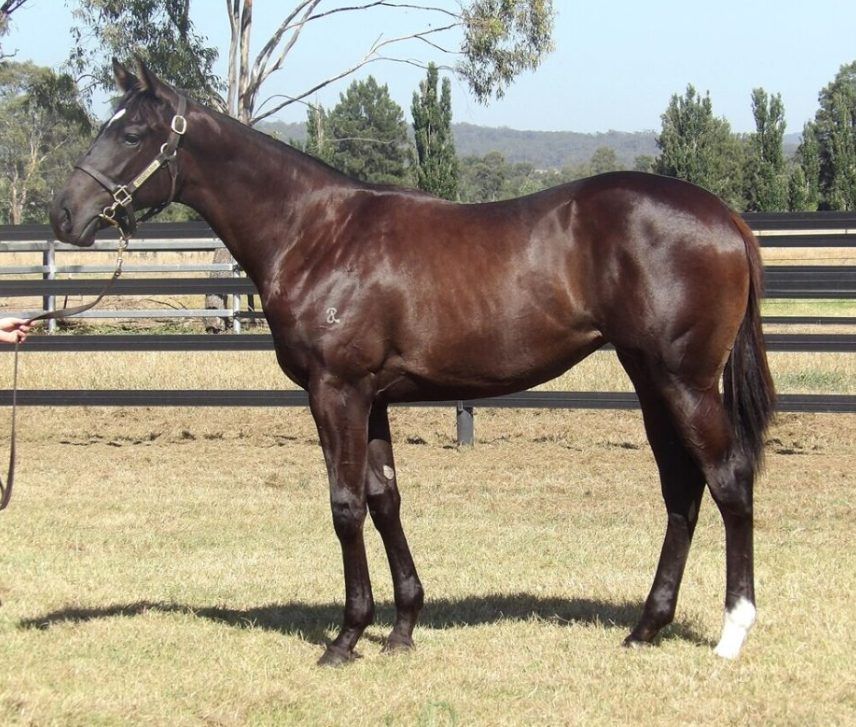 Un-named (Pinatubo – Moderate)