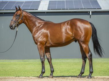 Un-named (Home Affairs - Pursuits)