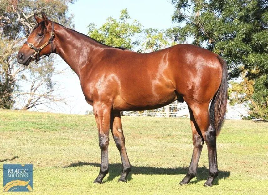 Un-named (Capitalist – Frolic)