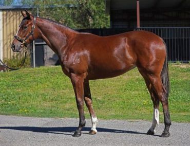 Un-named (Pierro - Zafina)