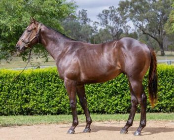 Un-named (Artorius - Campari)