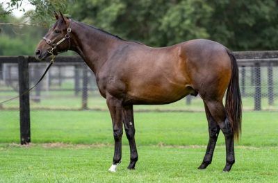 Un-named (So You Think - Sweet Fire)