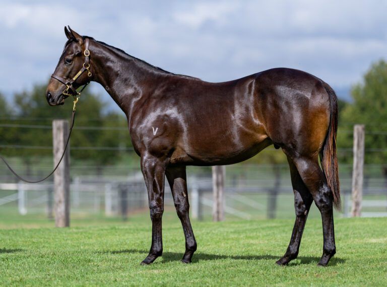 Un-named (Exceedance – Crossyourheart)