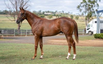 Un-named (In The Congo - Precious Sophia)