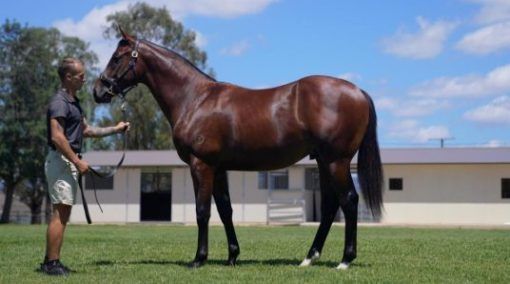 Un-named (Alabama Express - Shamar)