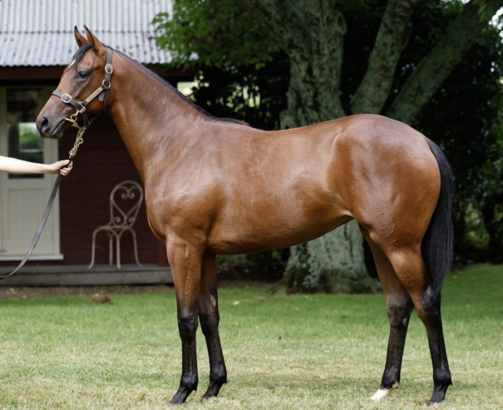 Un-named (Ardrossan – Madam Charm)