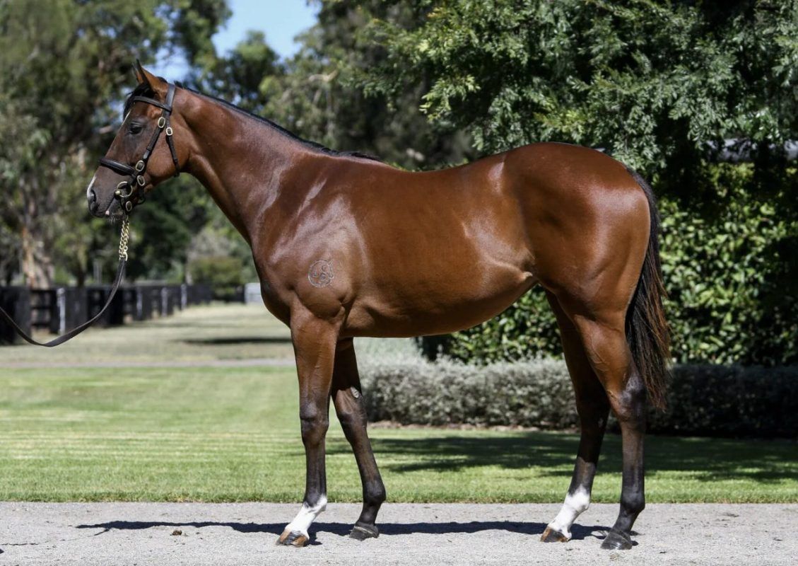 Un-named (Home Affairs – Marchena)