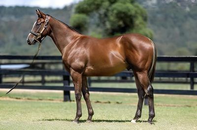 Un-named (Trapeze Artist - Deep Expectation)