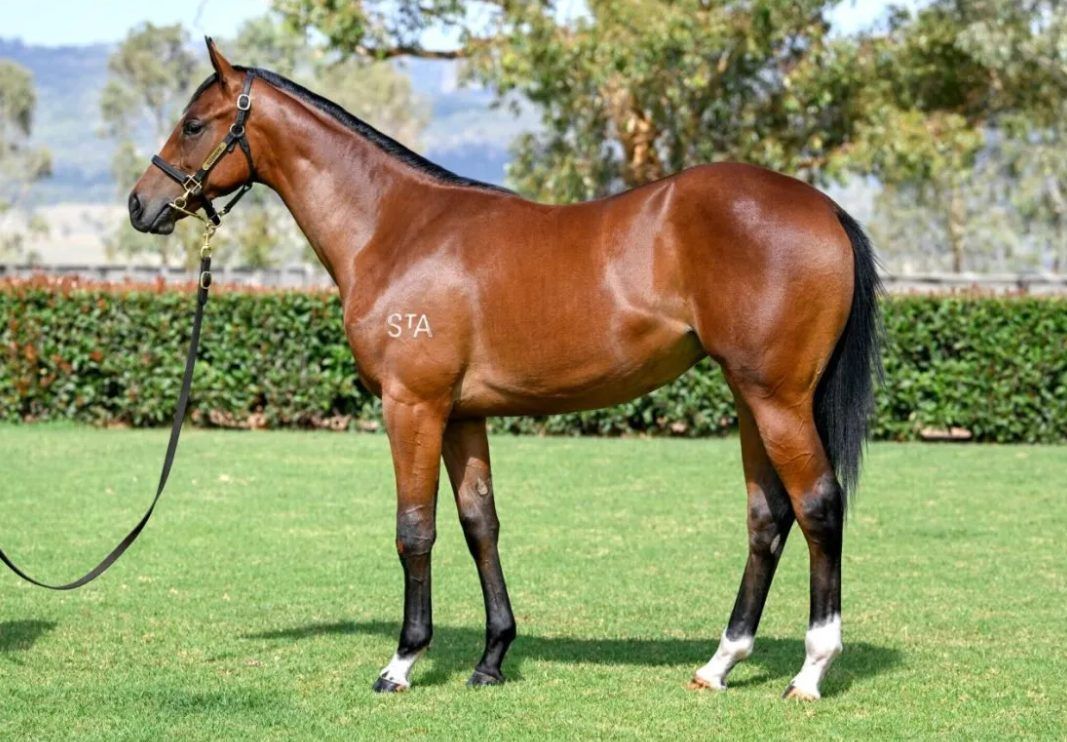 Un-named (Hellbent – Lucky Legacy)