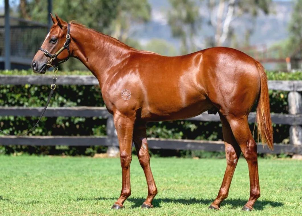 Un-named (Capitalist – Sensibility)