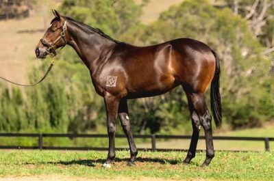 Un-named (Hellbent - Tender Mercies)