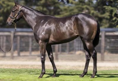 Un-named (Trapeze Artist - Weekend Gossip)