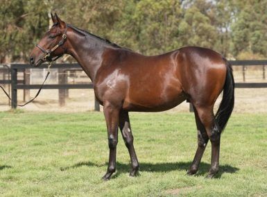 Un-named (Blue Point - Hasta Manana)