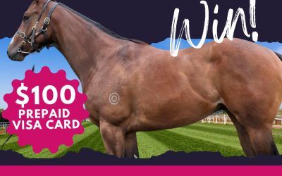 NAME OUR NEW HORSE AND WIN! COMP DETAILS T&Cs
