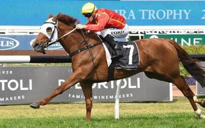 Miss Admiration Switch Pays Off In Sydney