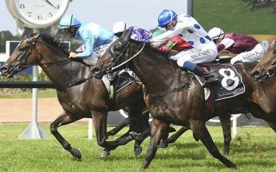 Oregon’s Day ‘Hard To Beat’ In Doomben Cup
