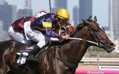 Price Possesses Guineas Grunt