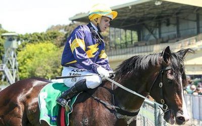 Price’s Guineas Hand Has Grunt