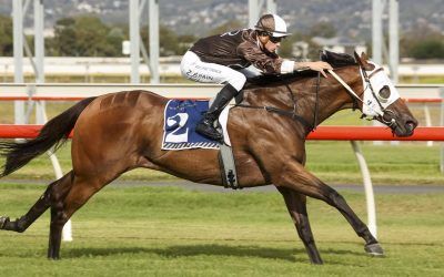 More Stakes Success for Lombardo