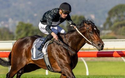 Illation salutes in Adelaide Guineas