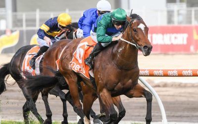 Jacquinot new Caulfield Guineas favourite after winning the McNeil Stakes at Caulfield