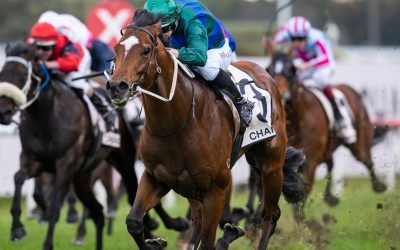 Everest on the cards for Jacquinot after Golden Rose blitz