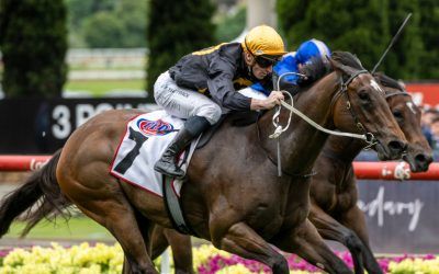 Wee Nessy Wins Crockett Stakes