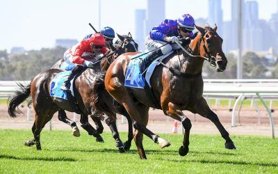 Hedged gives us back to back wins in the Cirka Plate