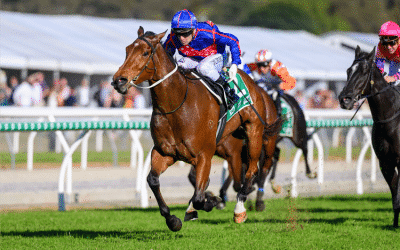 Hedged scores Stakes success