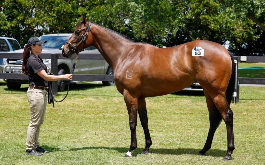 I Am Invincible – Lubiton Filly