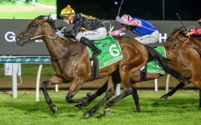 Miss Roumbini Storms to Victory in Fillies & Mares