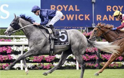 G1 Randwick Guineas Path for Dashing Grey Written Tycoon Colt