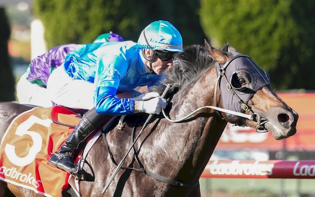Guineas Plan for Space Rider