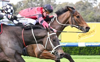 New Derby fave emerges at Sandown